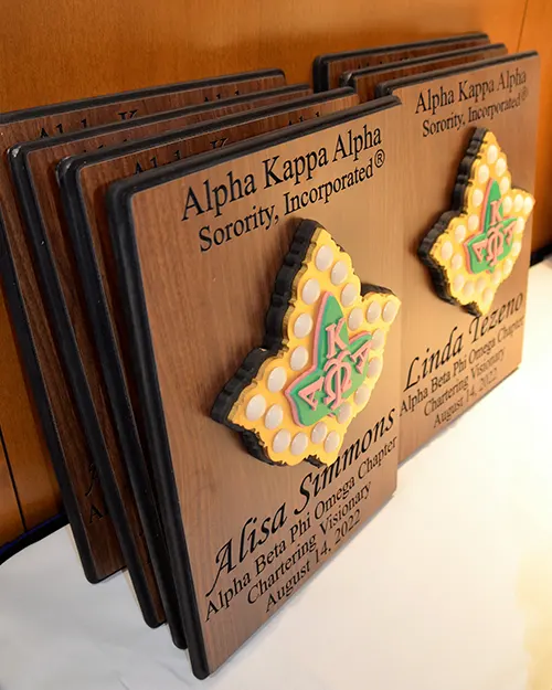 Image hover effect image